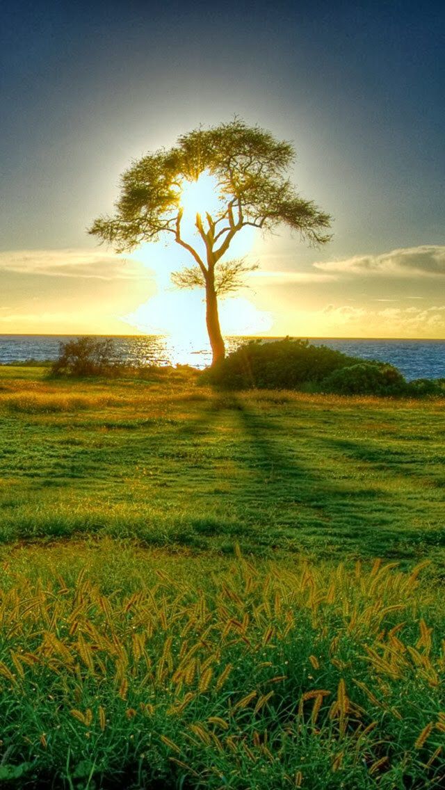 CML business booking 1