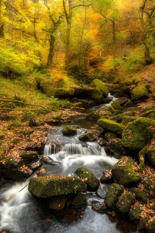 CML business booking 2